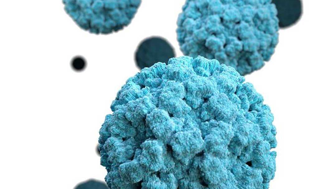 Help stop the spread of Norovirus