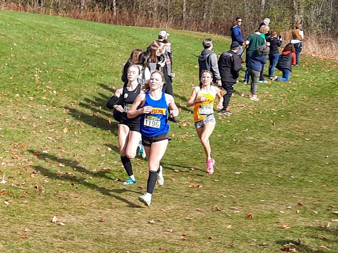 MSS Mustangs runners fare very well at provincial meet
