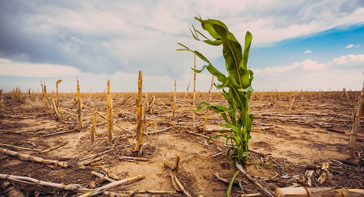 Ontario climate study predicts dire effects; senior author forecasts common-sense outcome