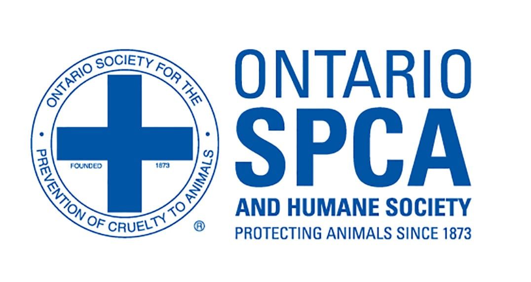 Pet rescue sends donations for Fort McMurray SPCA