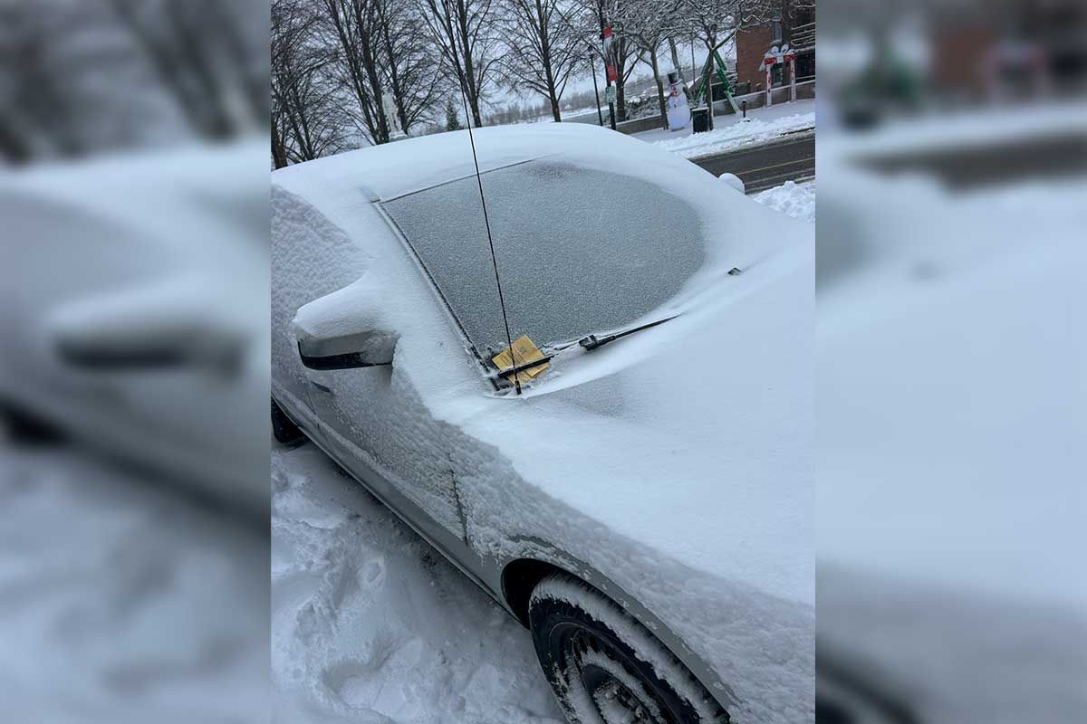Winter surprise