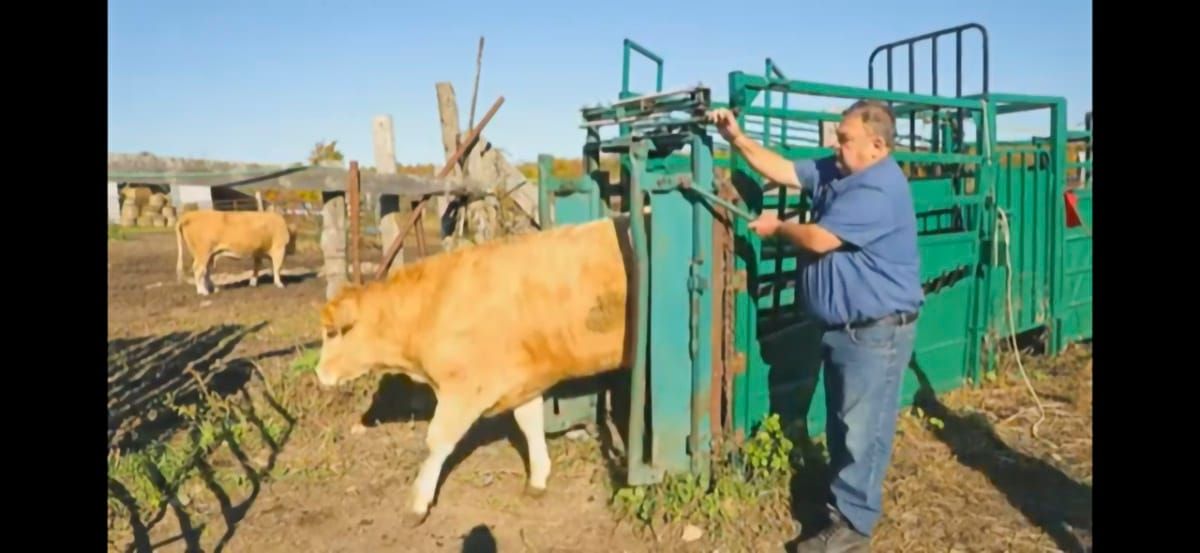 Island farmer featured in Soil and Crop promotional video