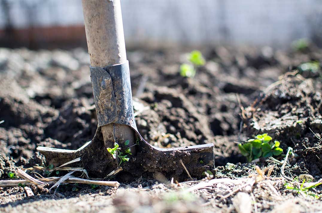 Attention all Gore Bay residents: get growing!