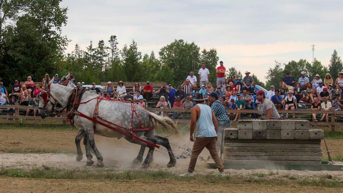 Providence Bay Fair draws in huge crowds for weekend full of fun