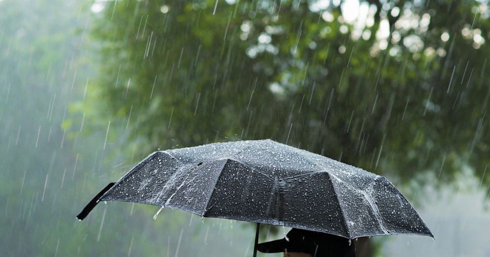 Special Weather Statement: Heavy rain possible