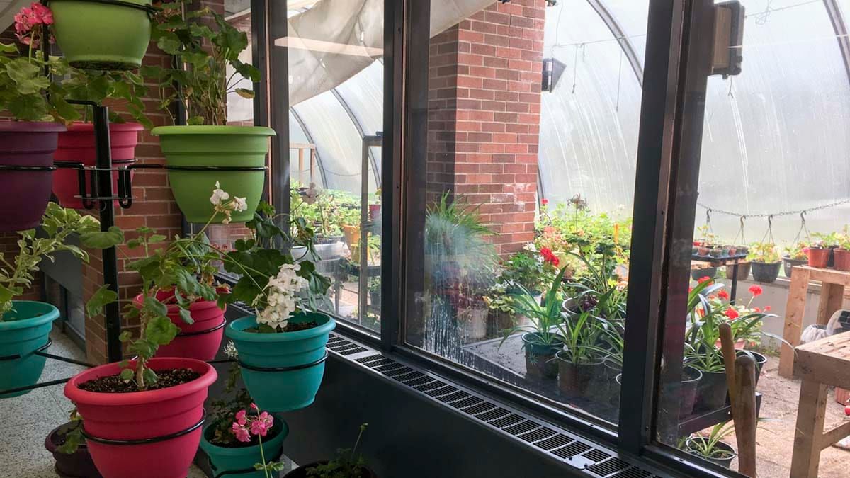 Rainbow School Board one of two in Canada to be EcoCertified