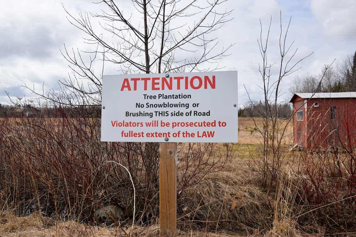 Neighbours’ dispute in Green Bay area brings focus to rural ‘right to farm’ debate