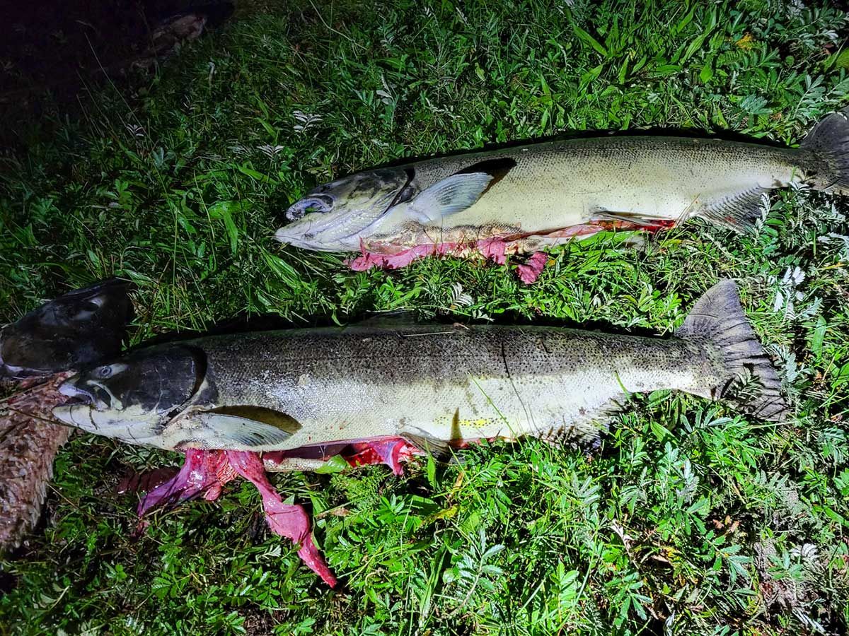 Citizens confront alleged salmon roe poaching duo