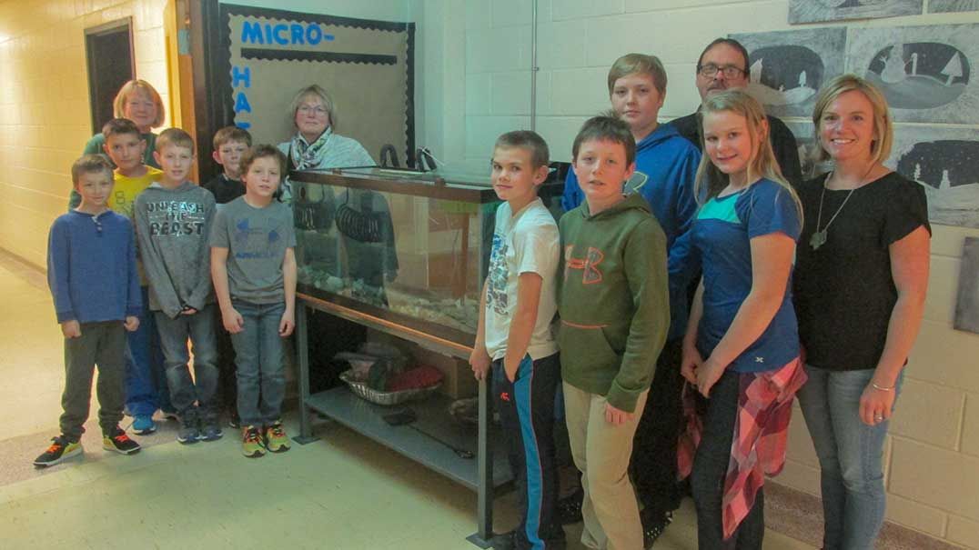 C.C. McLean raising Chinook salmon in micro-hatchery