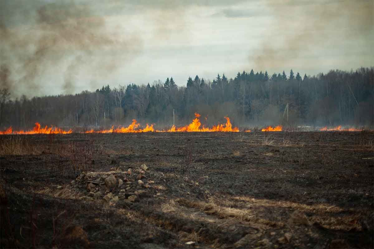 Island fire officials warn of dry conditions, grass fire danger