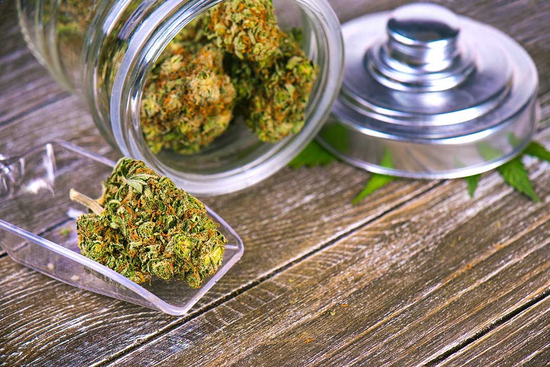 Green light for Wiiky cannabis store