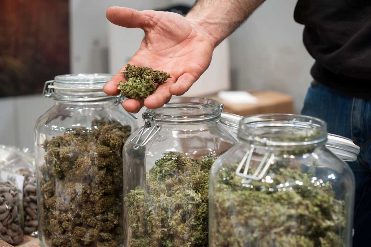 Trial for 91���˵���s unregulated cannabis stores could have larger impacts
