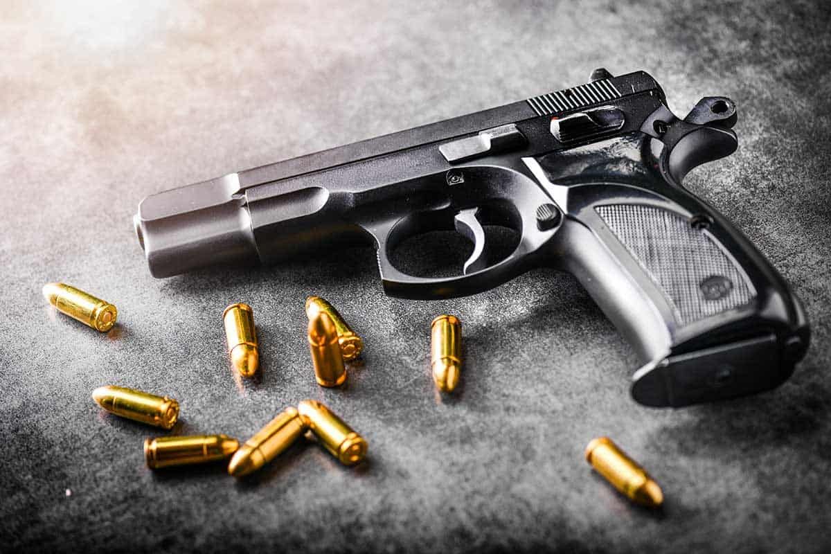 Federal gun laws will affect law abiding owners, Island group says