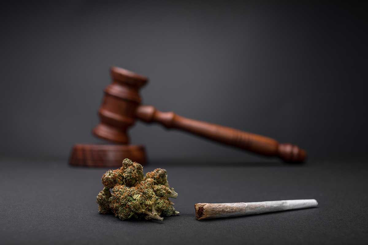Birch Island plebiscite narrowly approves local sales of cannabis