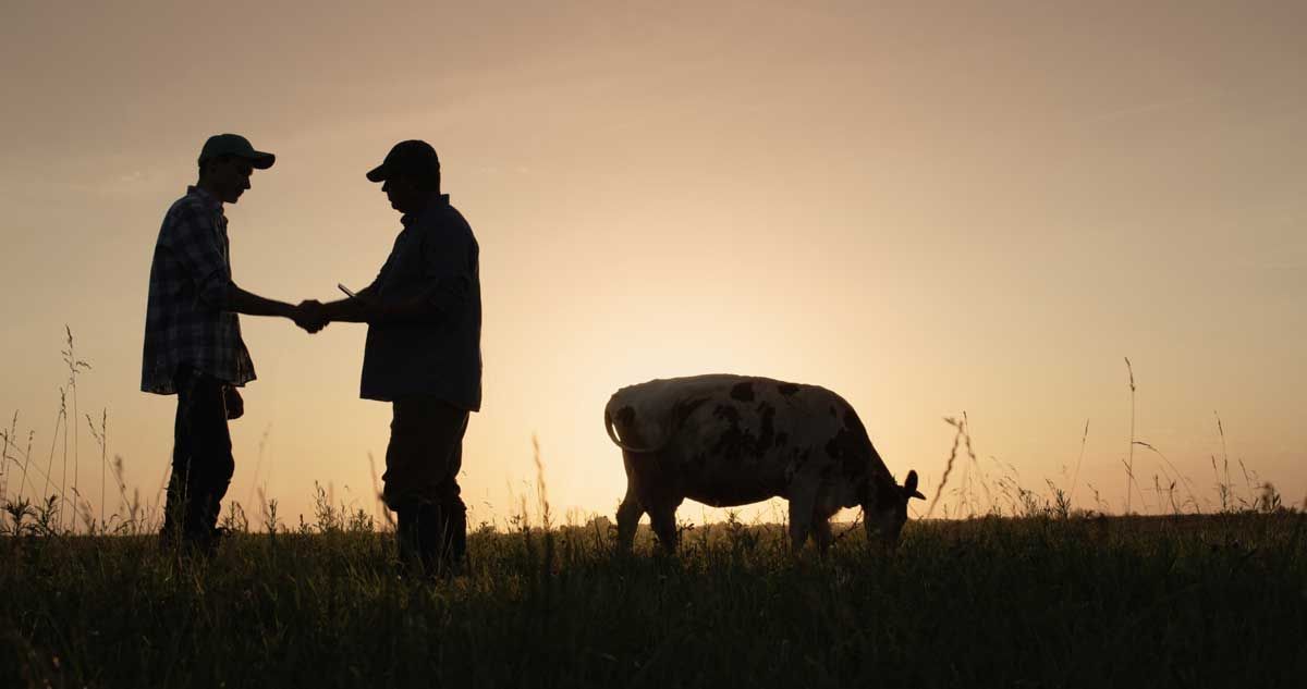Federal and provincial governments invest $6 million into sustainable agriculture