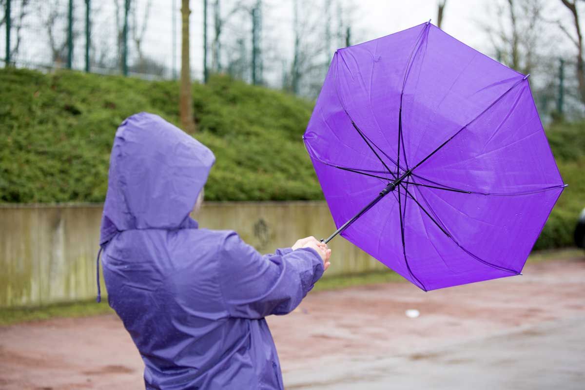 Special Weather Statement: Strong winds expected Monday afternoon