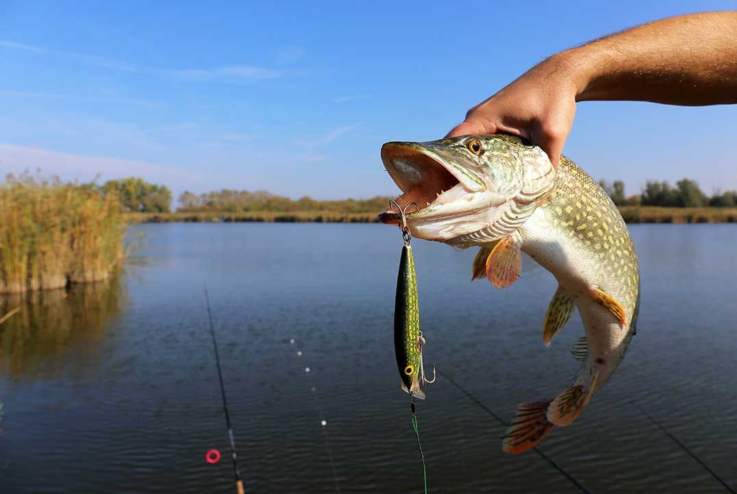 Reminder for anglers from the MNRF