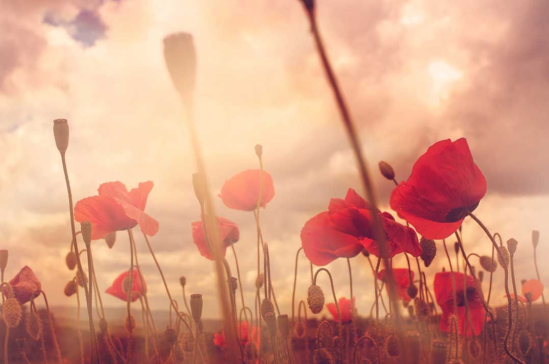 Kagawong Remembrance Day  theme centres on D-Day’s 75th