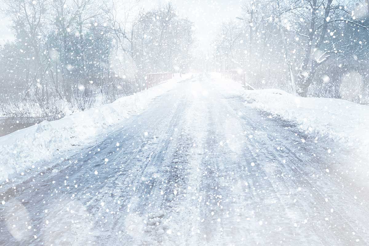 Pedestrian and dog hit  in Saturday snowstorm