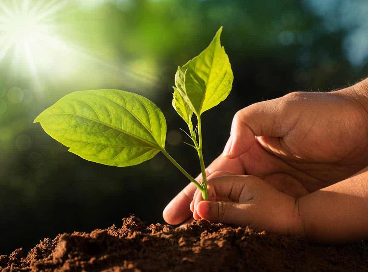 Billings, Central Manitoulin climate change survey results are in