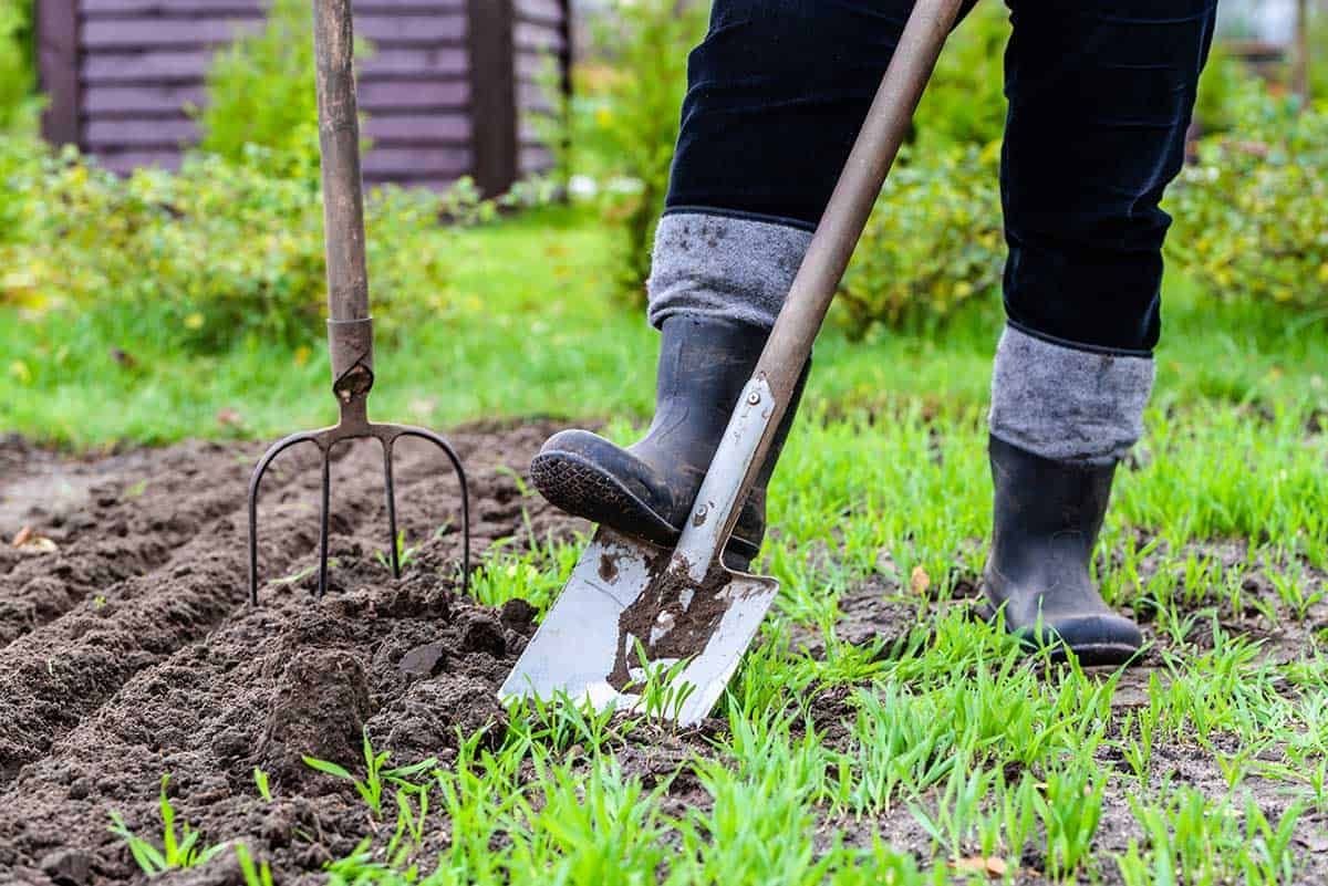 Community Garden ‘Come Grow and Play’ program named finalist in competition