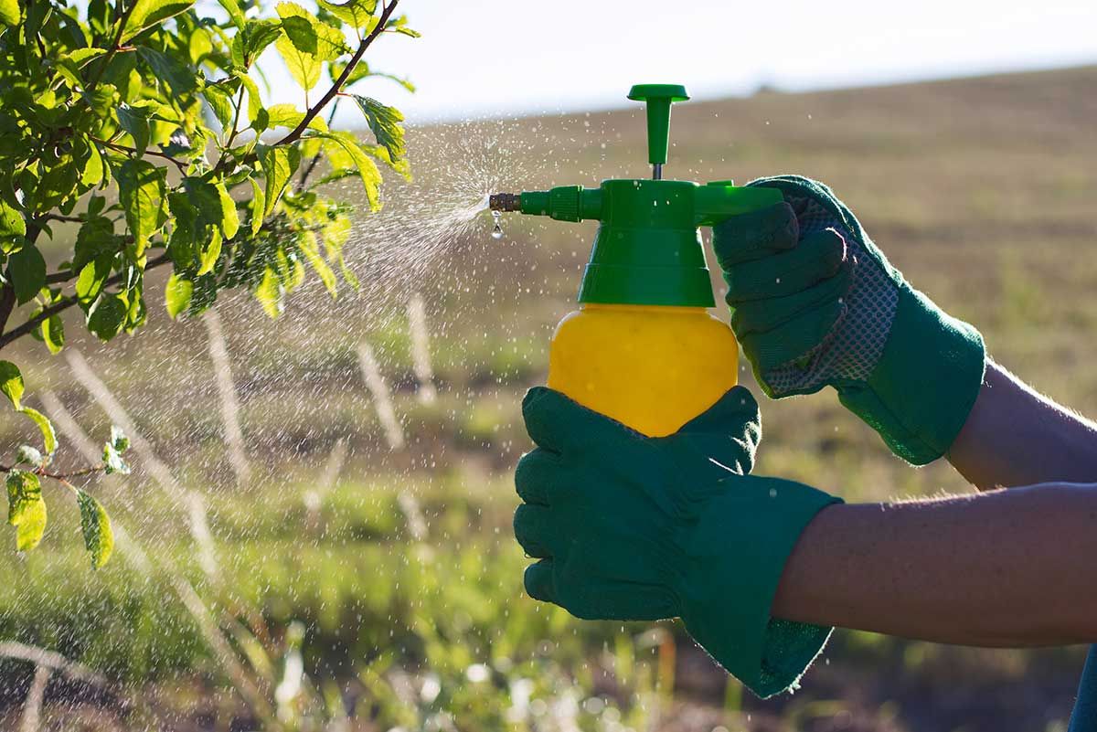 Manitoulin groups submit concerns on pesticide changes