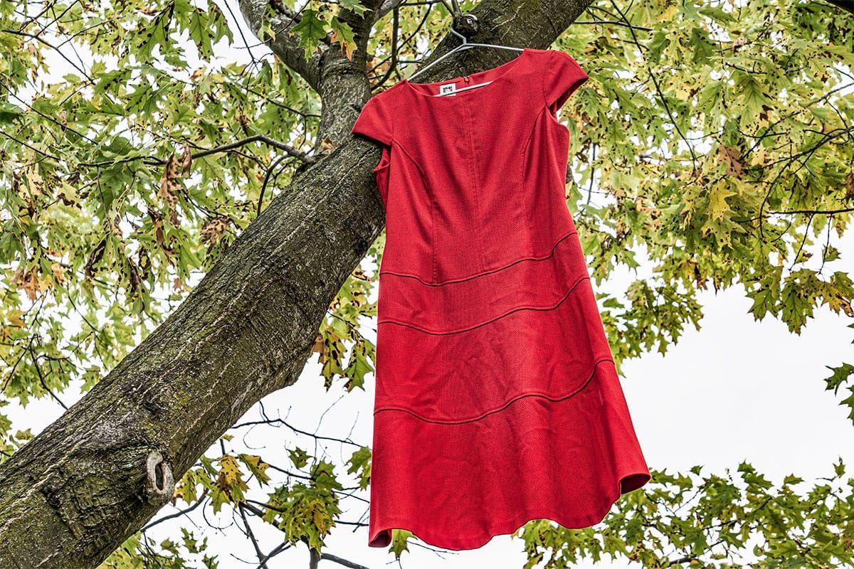 MP Hughes highlights red dress alert pilot project in Parliament