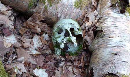 M’Chigeeng interment planned for pre-contact skulls found in 2016