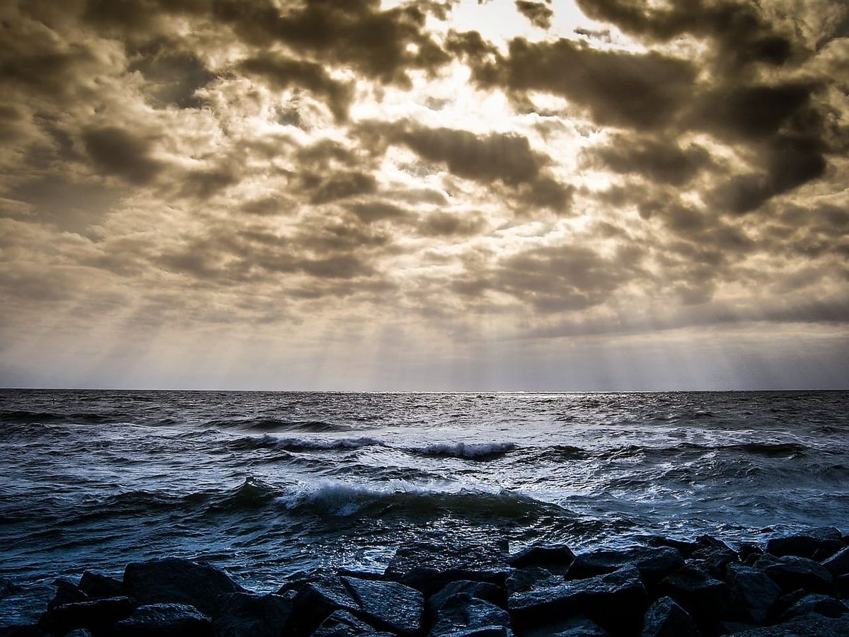Wind gusts to 90 km/h are expected this afternoon