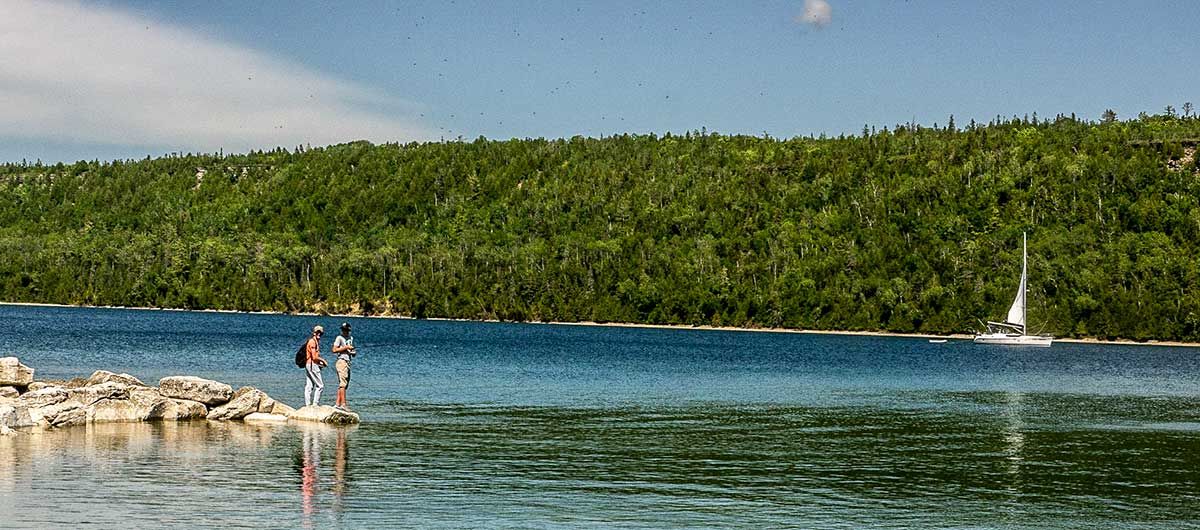Ministry of Natural Resources and Forestry completes spring fish planting