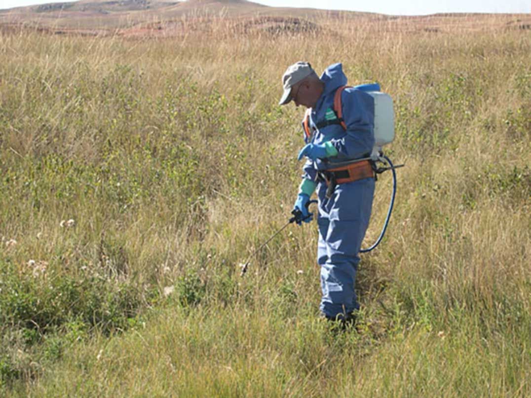 Proponents of petition call on province to amend Pesticides Act