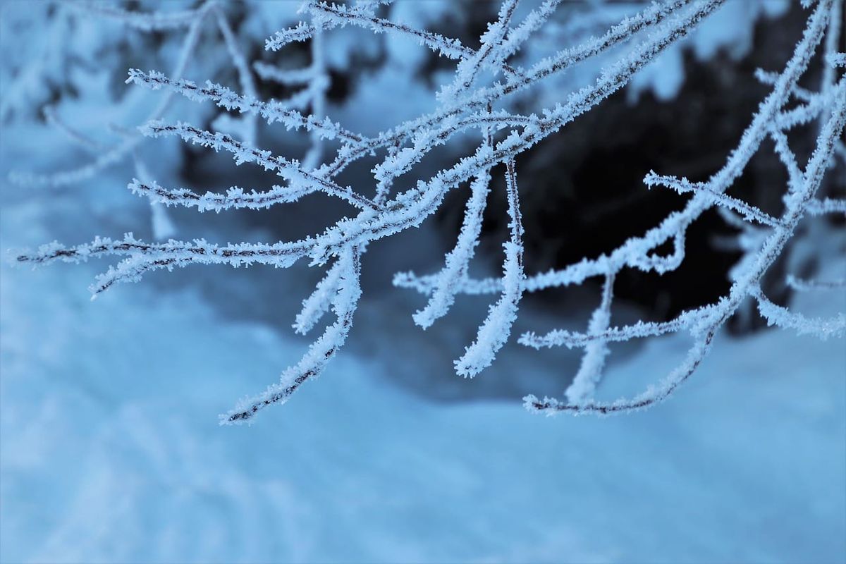 Extreme Cold Warning: -40 to  -50 are expected across much of Northern Ontario tonight