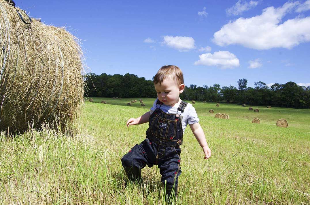 Four generations of farm life later, are we safer than ever?
