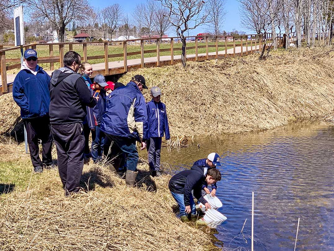 C.C. McLean students stock healthy fish in Bickell’s Creek