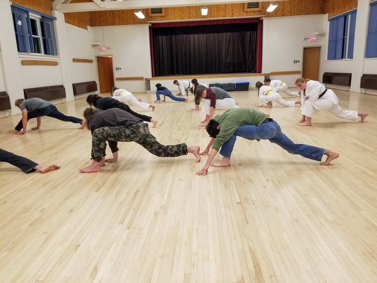Year-round Taekwondo comes to Mindemoya Community Centre