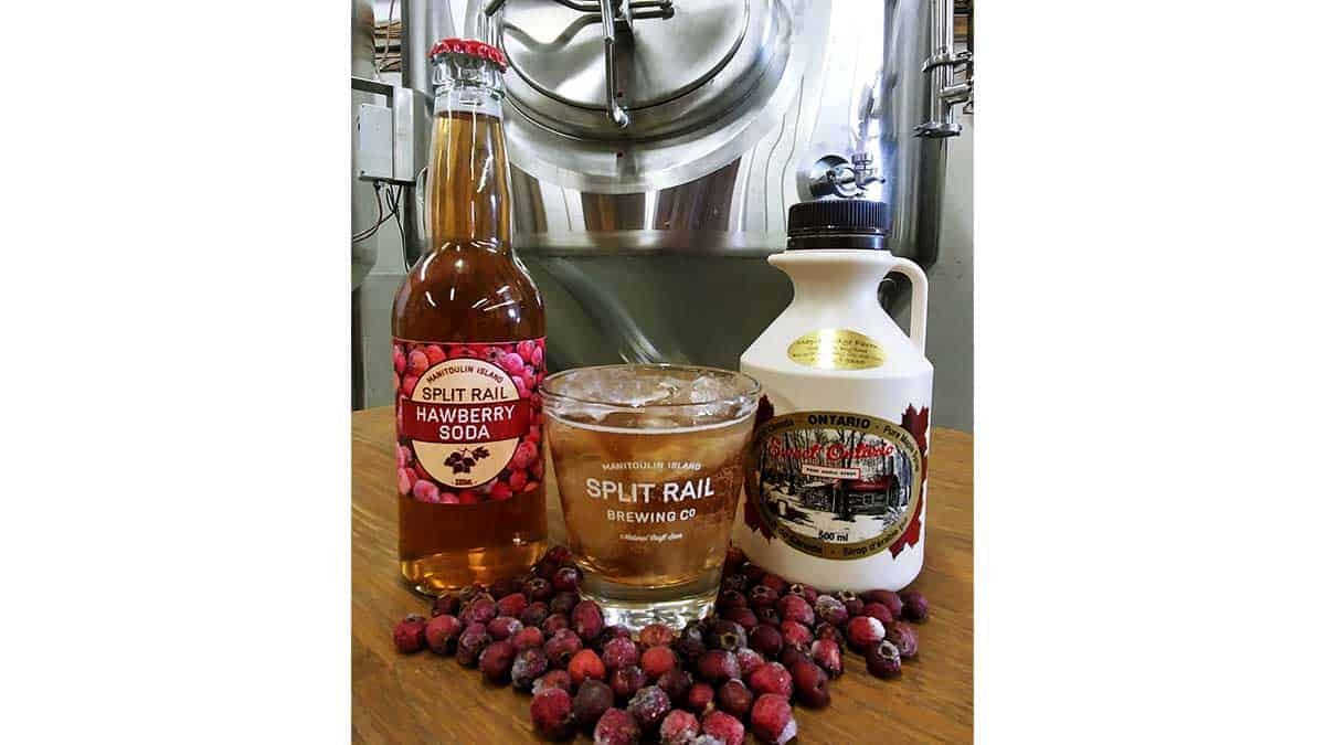 Founders of Gore Bay’s Split Rail Brewery talk social
