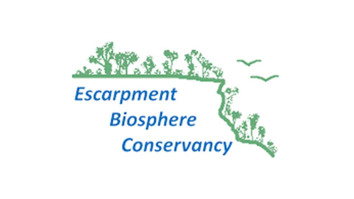 Biosphere Conservancy to create walking paths for East Bluff preserve