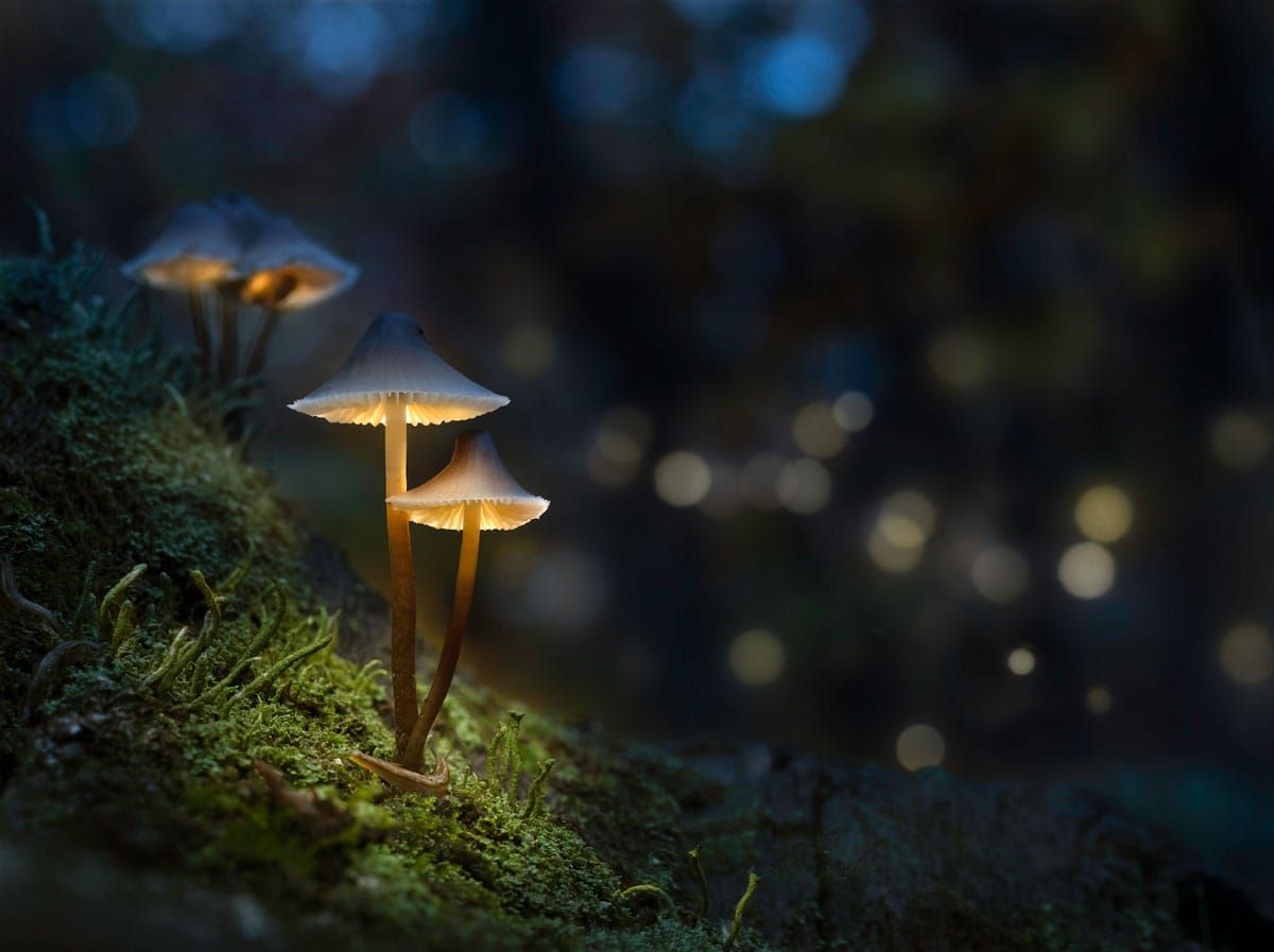 Baumgarten picture featured in Canadian Geographic