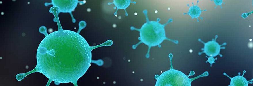 Gore Bay woman spearheads human papillomavirus awareness campaign