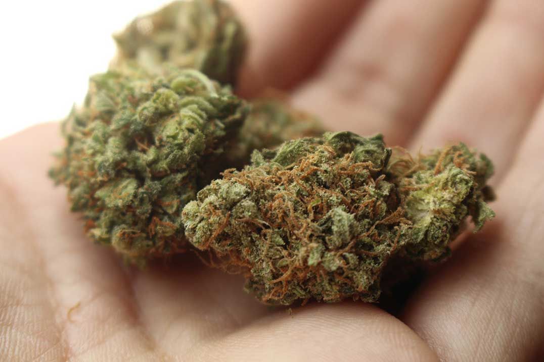 MMA supports proposal to have pot laws mirror  those in place for alcohol