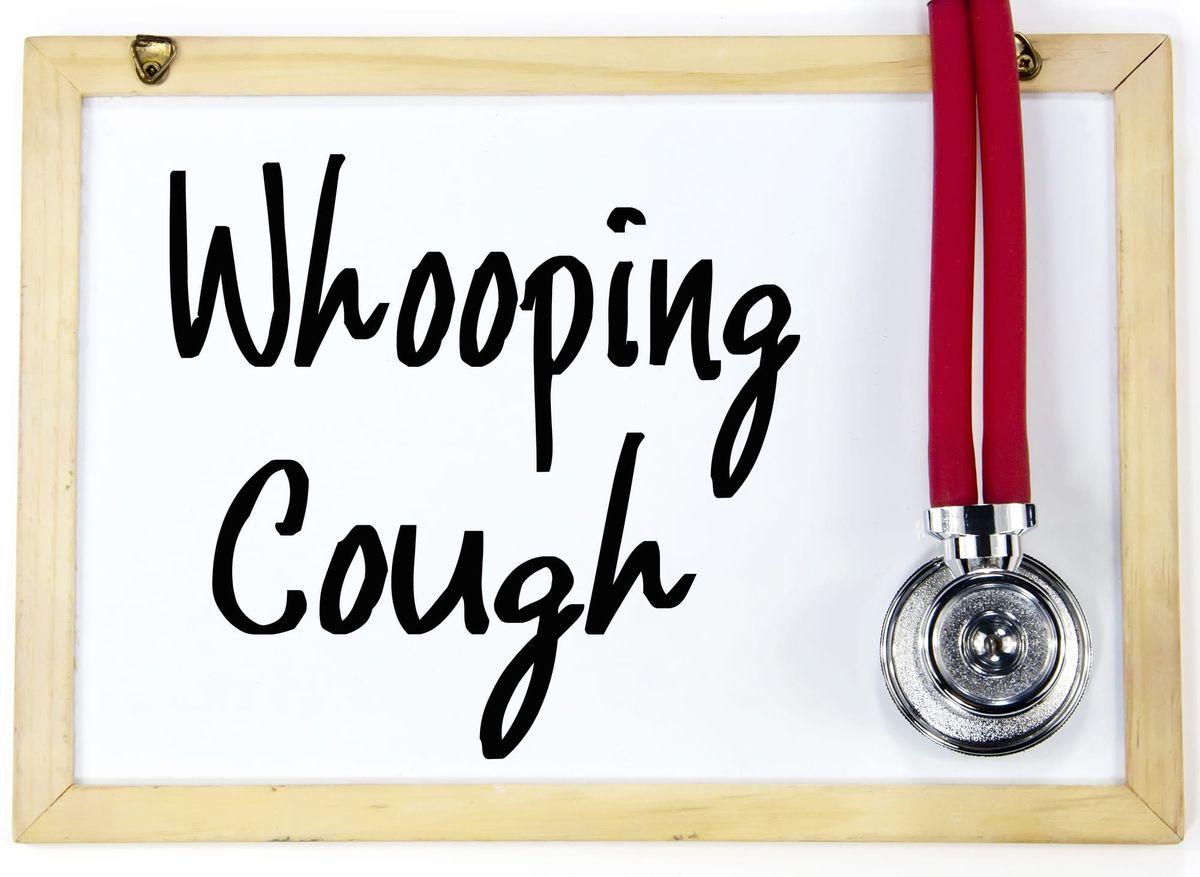 Pertussis (whoooping cough) cases increasing in Greater Sudbury and districts