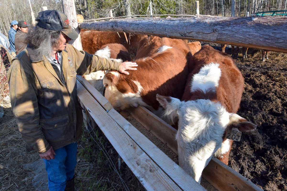 Wiikwemkoong revitalizing local agricultural base