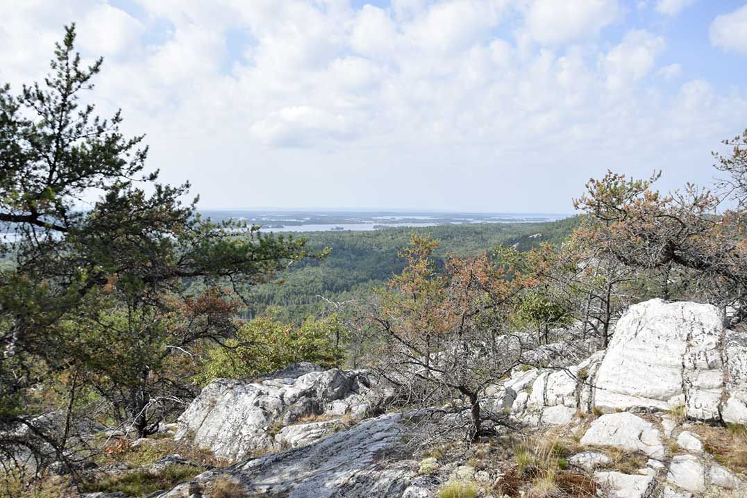 Willisville Mountain fundraising reaches first goal