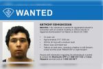 OPP investigating serious incident in Sagamok Anishnawbek First Nation