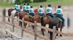 A first of its kind for Manitoulin