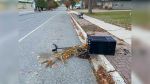 Increase in vandalism has Gore Bay mayor and council  considering security measures