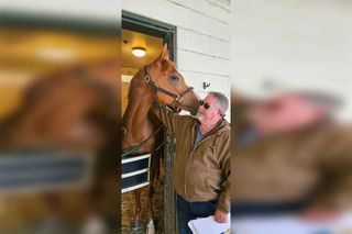 Hawberry the horse triumphs at Woodbine Track for maiden win