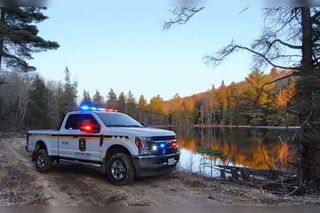 Individual Fined for Allowing Dogs to Run at Large in Areas Inhabited by White-Tailed Deer
