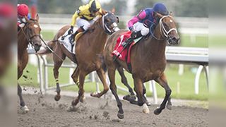 Manitoulin’s Hawberry comes in second at Woodbine Racetrack