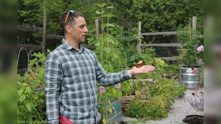 Federal team studies Manitoulin Monarchs